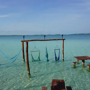 https://las-2-fridas-casa-caracol.quintano-roohotels.com
